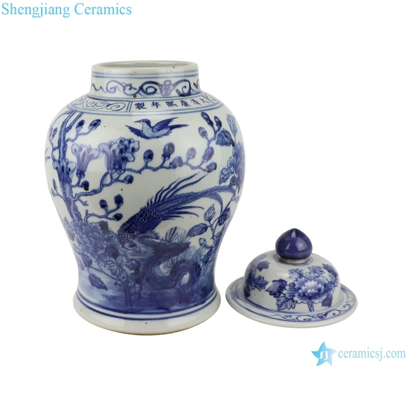 Rzsc07 Jingdezhen Antique Beautiful Flower and Bird Pattern Ceramic Ginger Jar